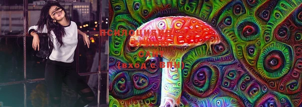сатива Вязники