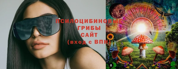 сатива Вязники